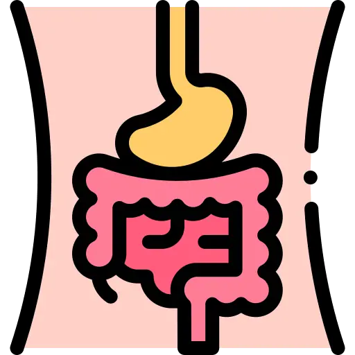 Digestión y Estómago